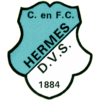 hermesdvs